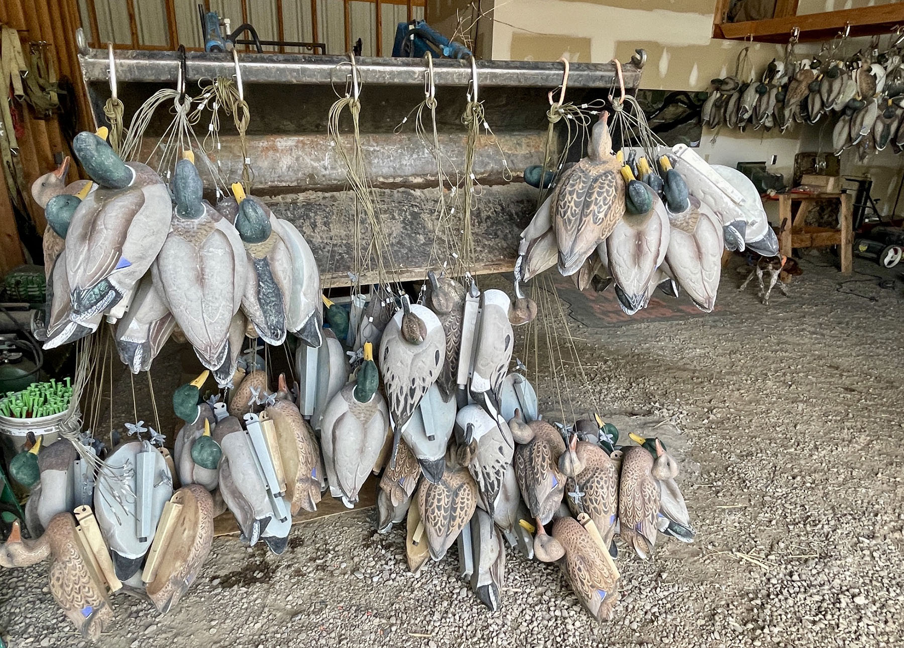 Old Teal Ranch property picture 50 of 72