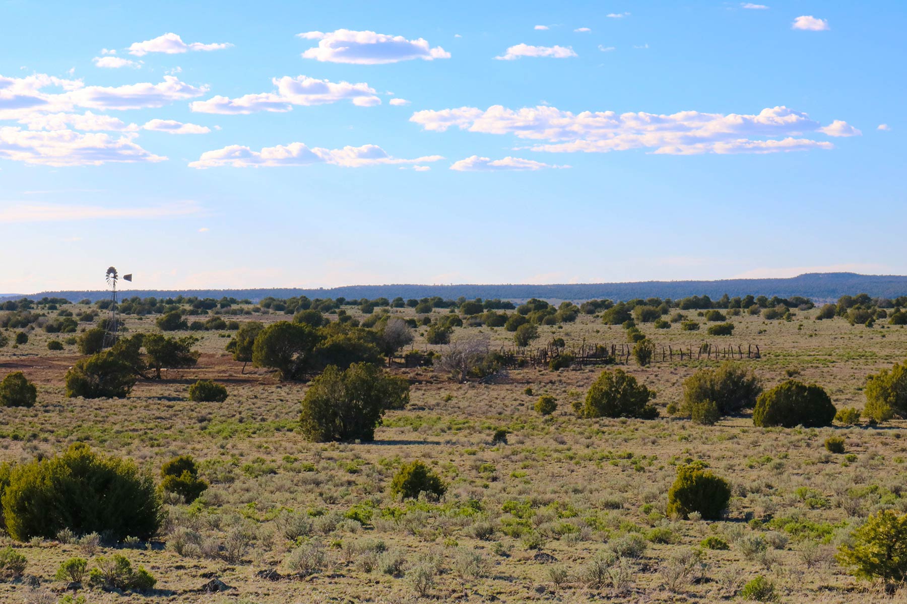 Fence Lake Ranch property picture 8 of 21