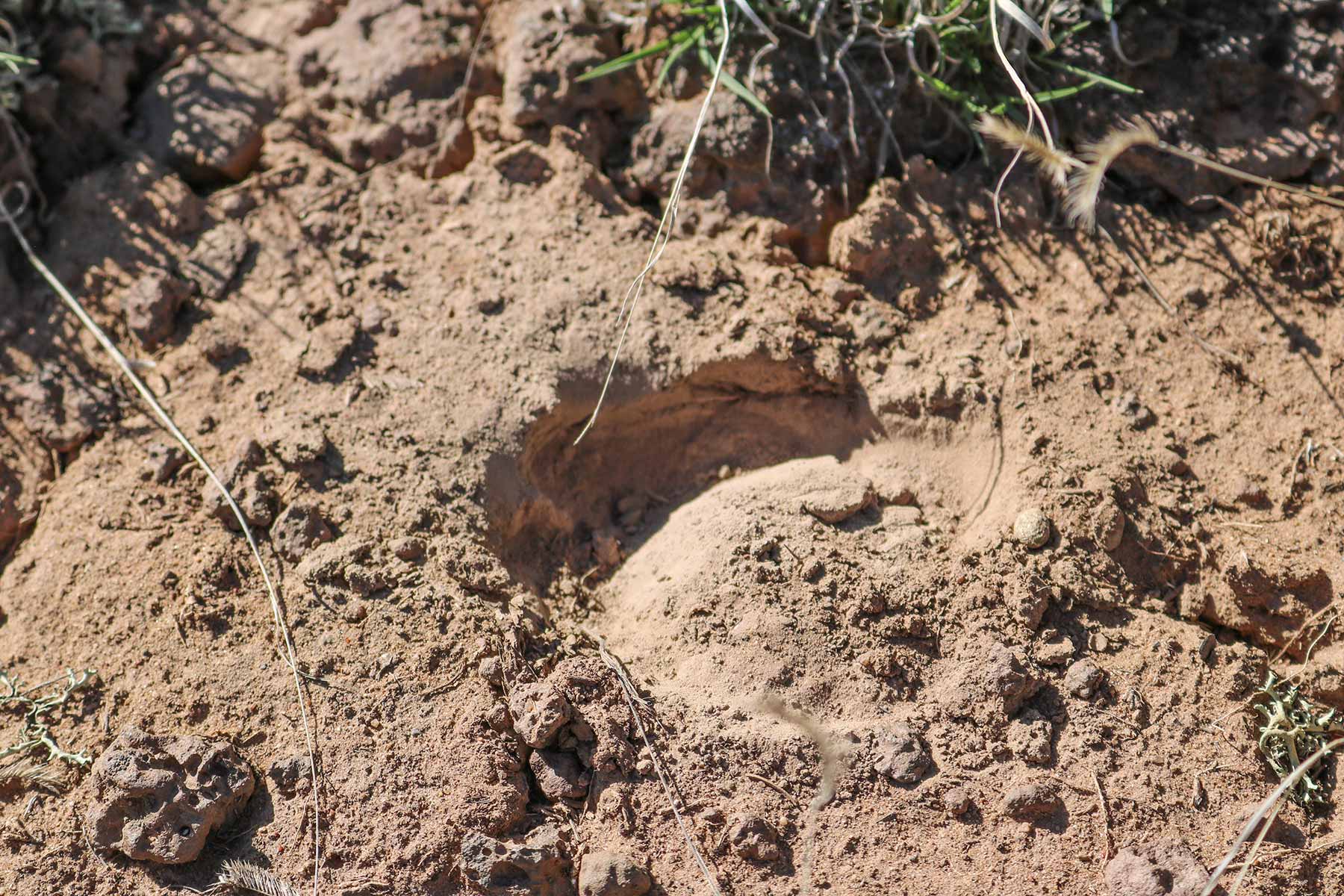 Fence Lake Ranch property picture 12 of 21