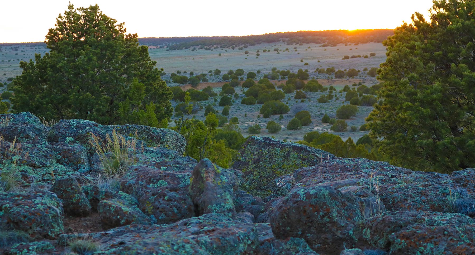 Fence Lake Ranch property picture 16 of 21