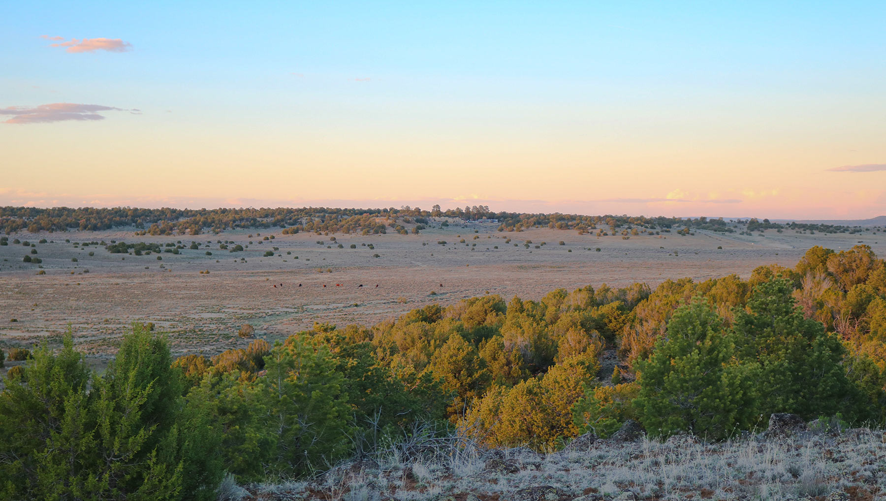 Fence Lake Ranch property picture 20 of 21