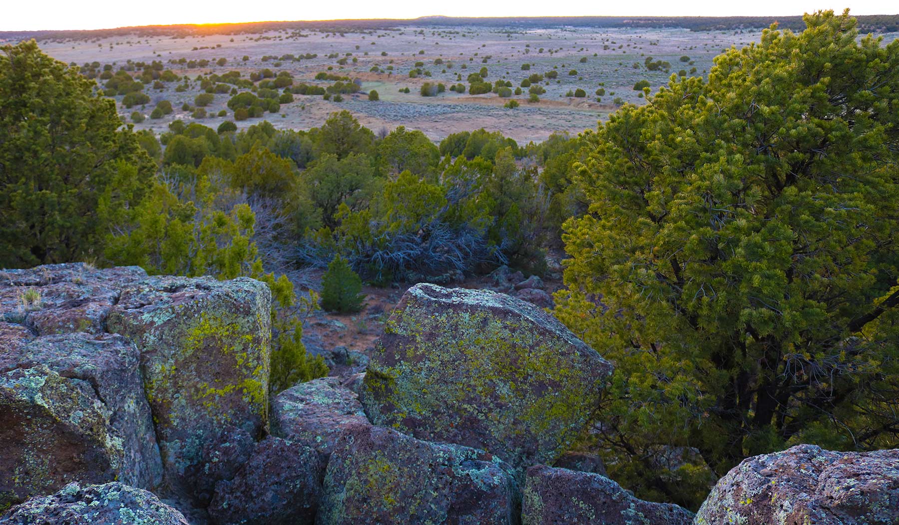 Fence Lake Ranch property picture 5 of 21