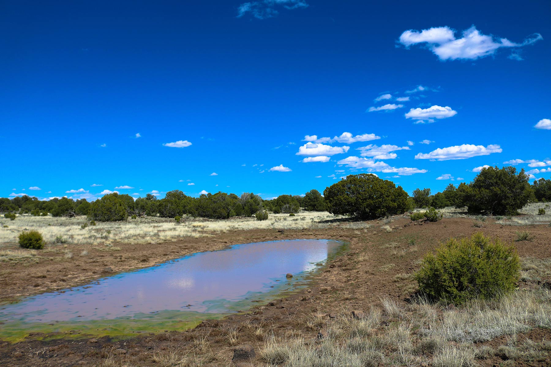 Fence Lake Ranch property picture 4 of 21