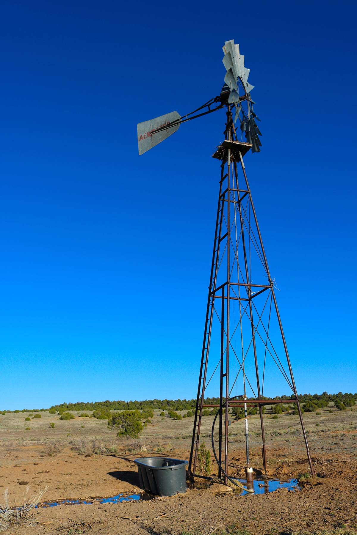 Fence Lake Ranch property picture 9 of 21