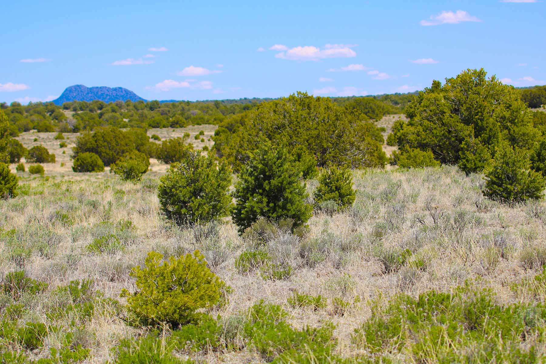 Fence Lake Ranch property picture 2 of 21