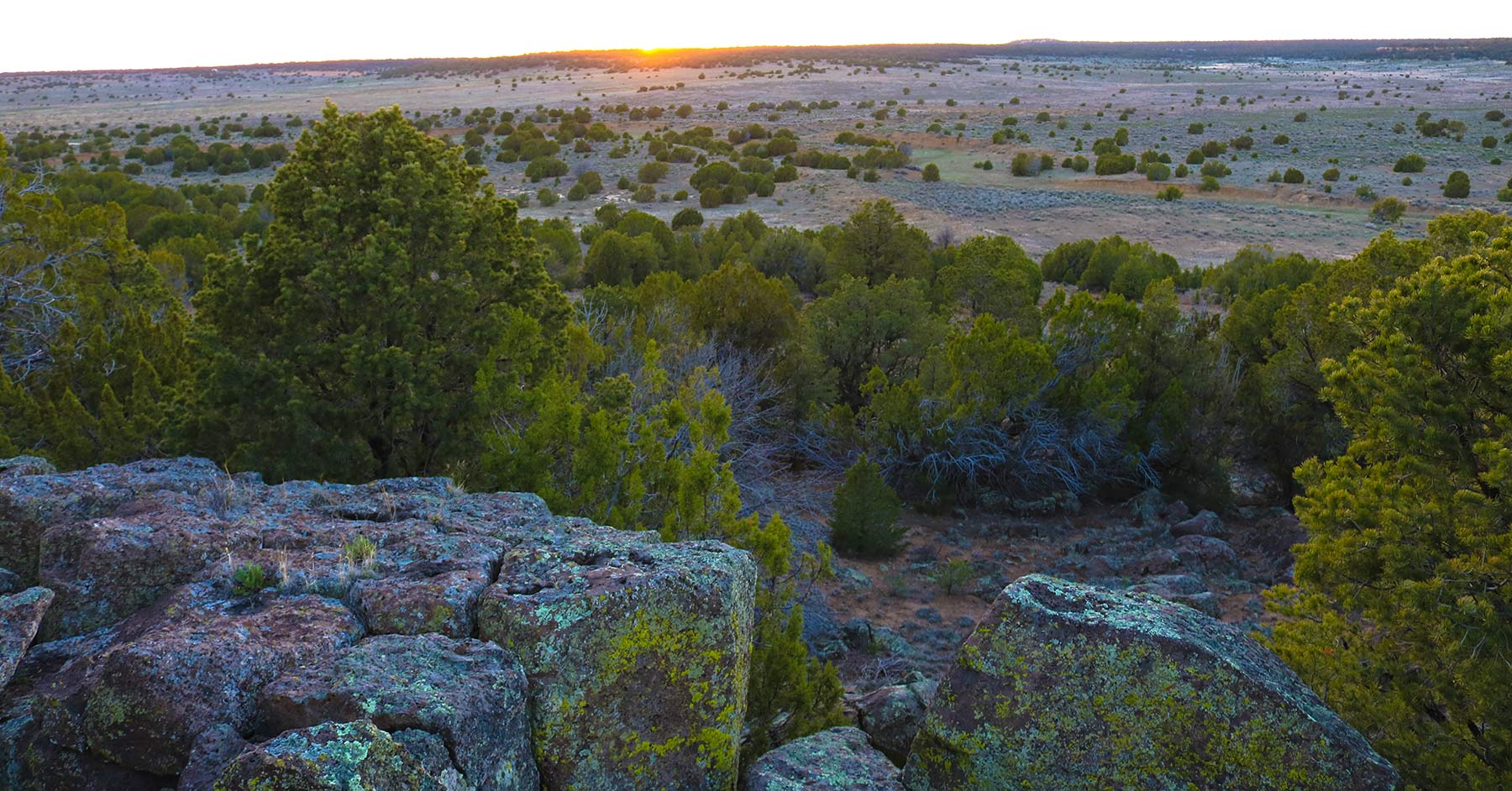 Fence Lake Ranch property picture 21 of 21