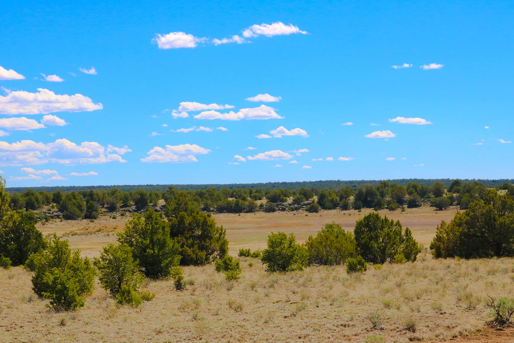 Fence Lake Ranch property picture 3 of 21
