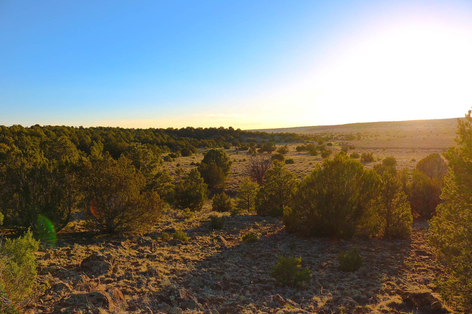 Fence Lake Ranch property picture 6 of 21