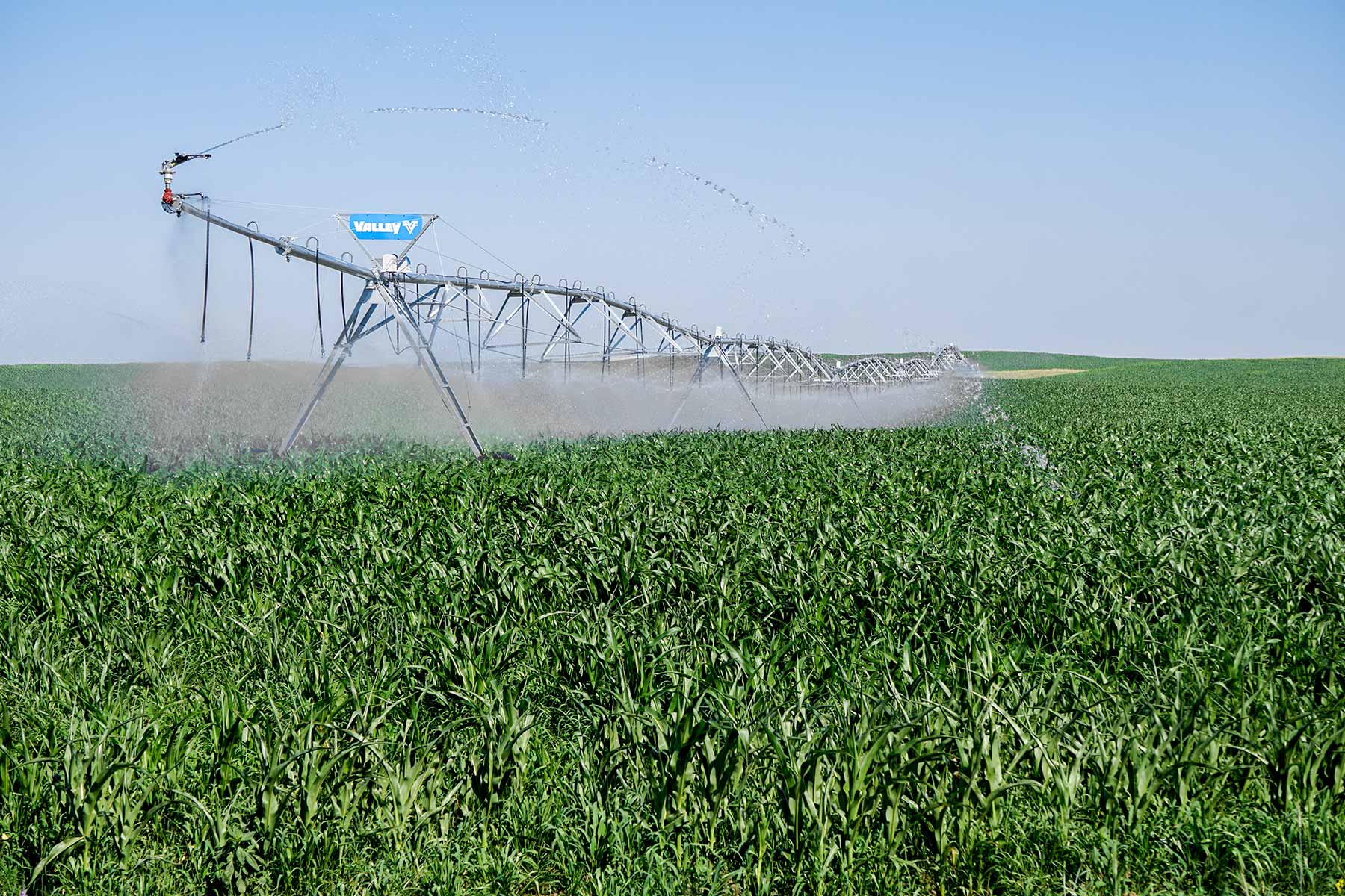 Todd County Irrigated Organic Farm property picture 19 of 45