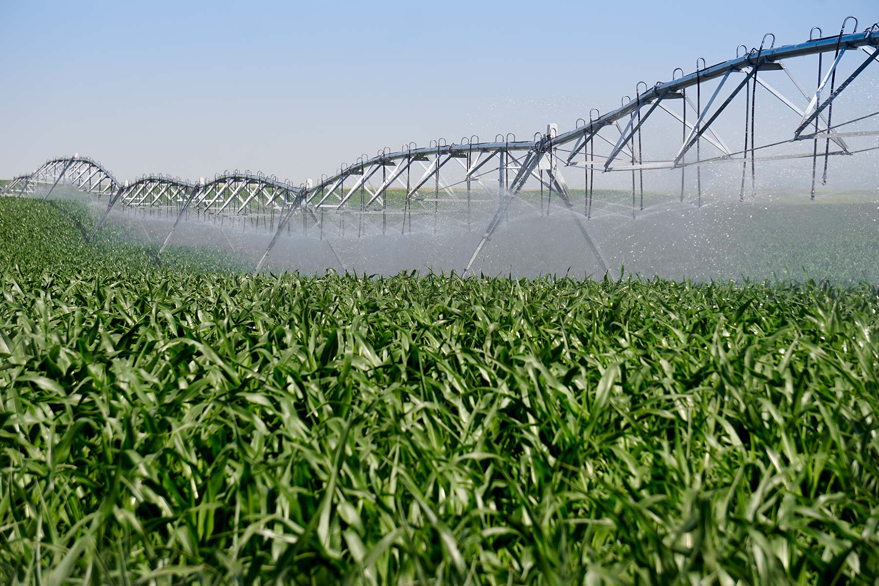 Todd County Irrigated Organic Farm property picture 22 of 45