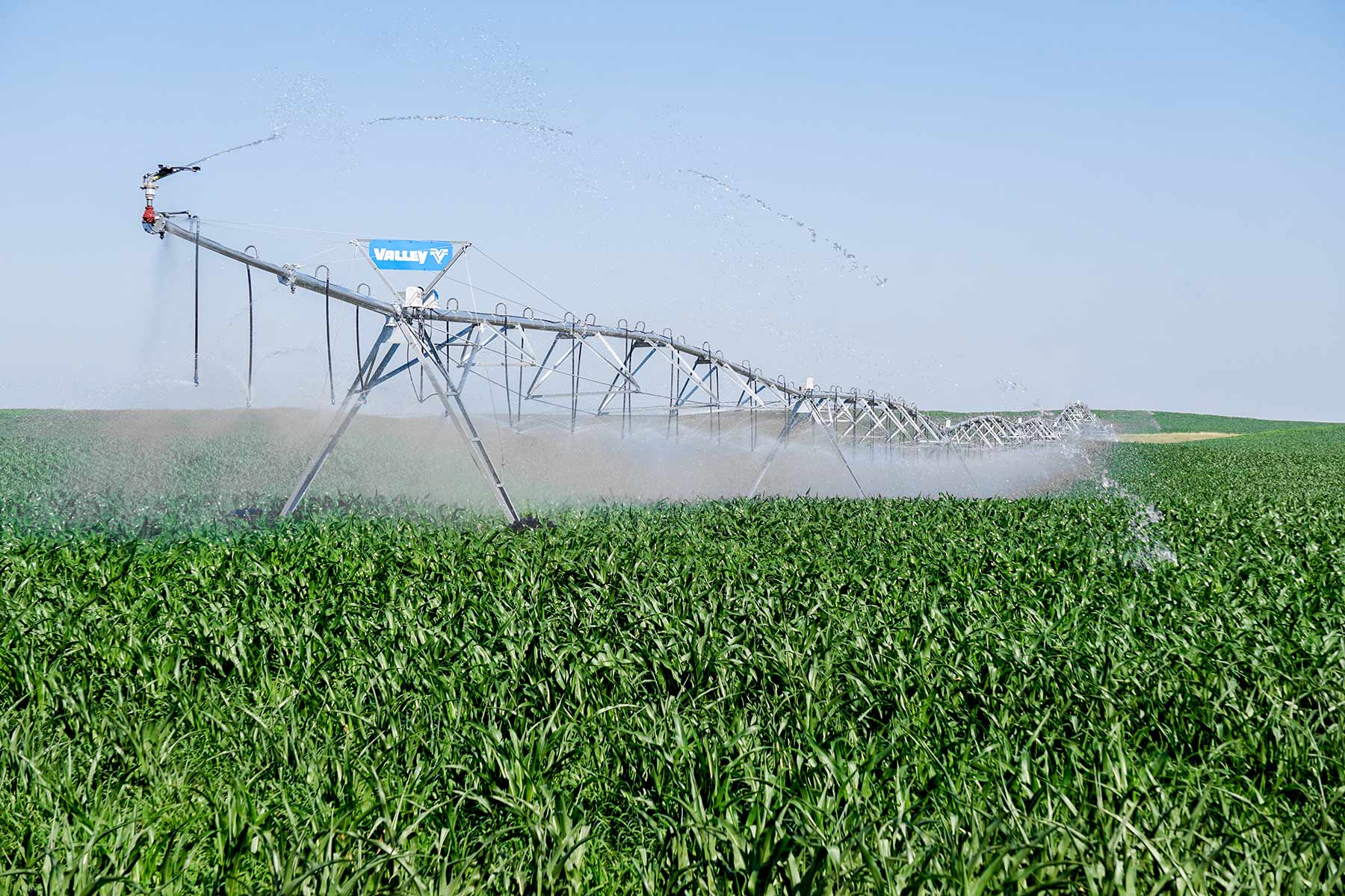 Todd County Irrigated Organic Farm property picture 20 of 45