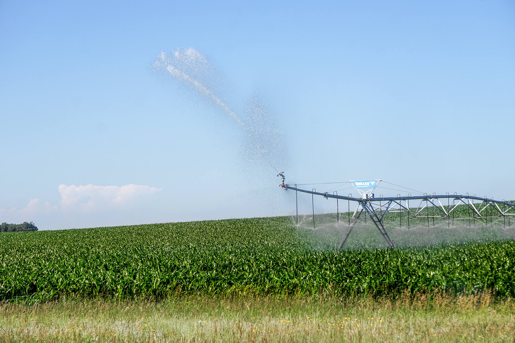 Todd County Irrigated Organic Farm property picture 13 of 45