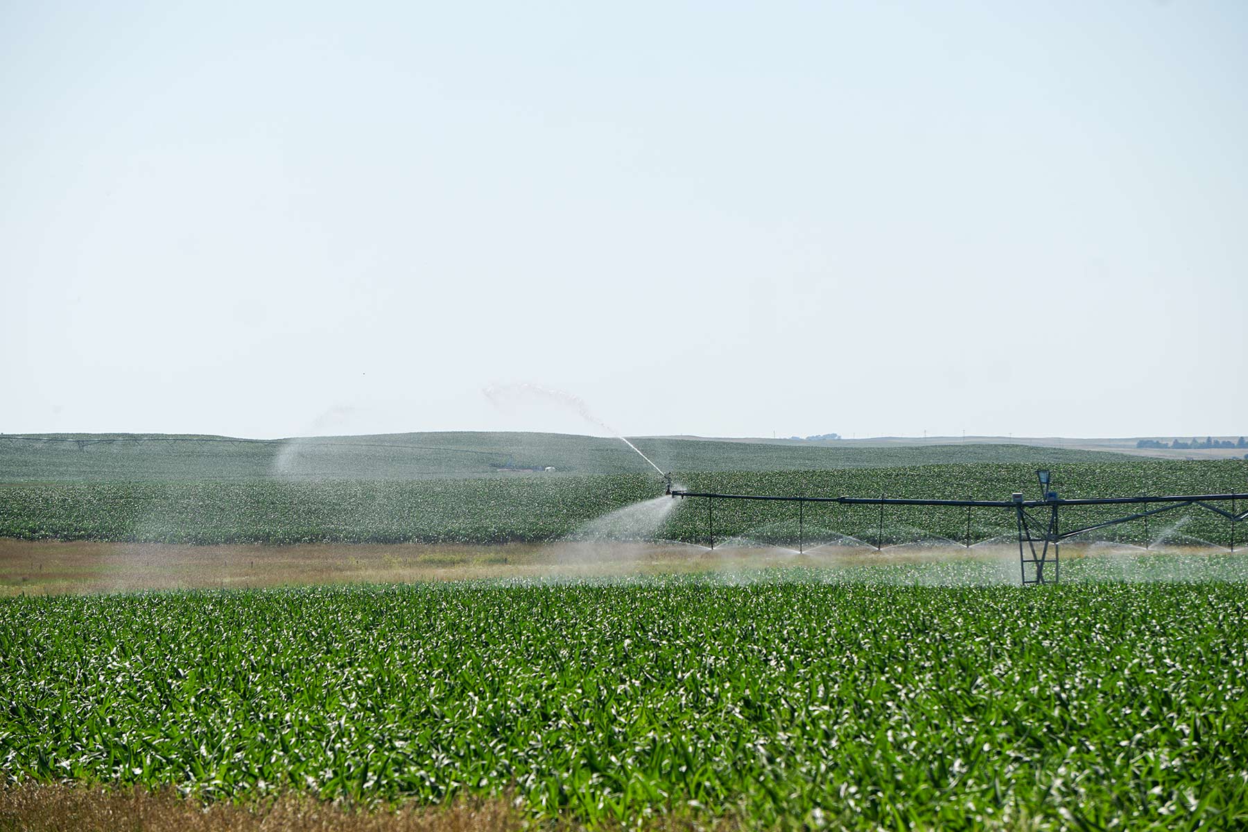 Todd County Irrigated Organic Farm property picture 15 of 45