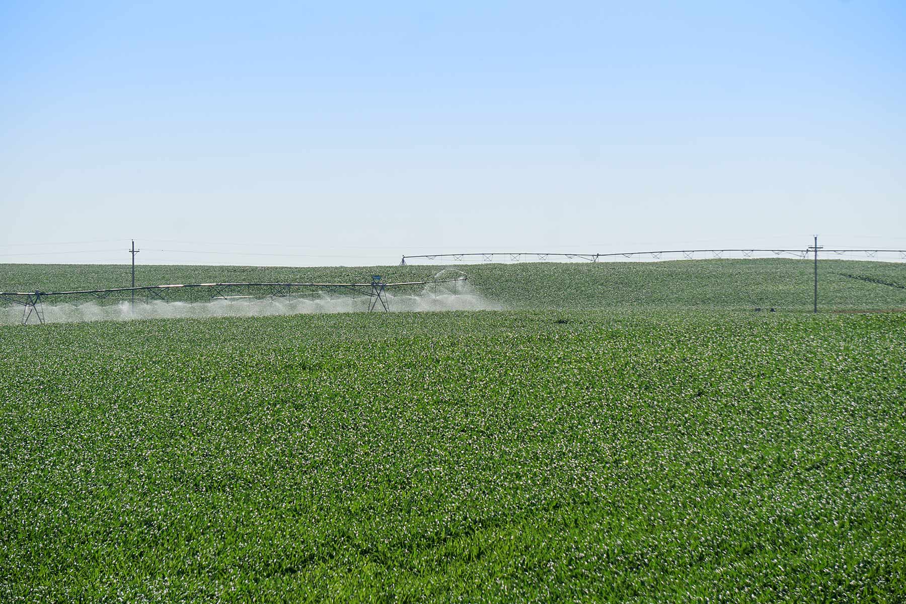 Todd County Irrigated Organic Farm property picture 34 of 45
