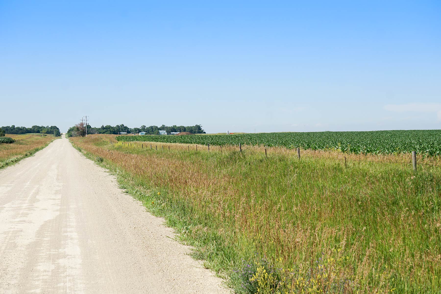 Todd County Irrigated Organic Farm property picture 43 of 45