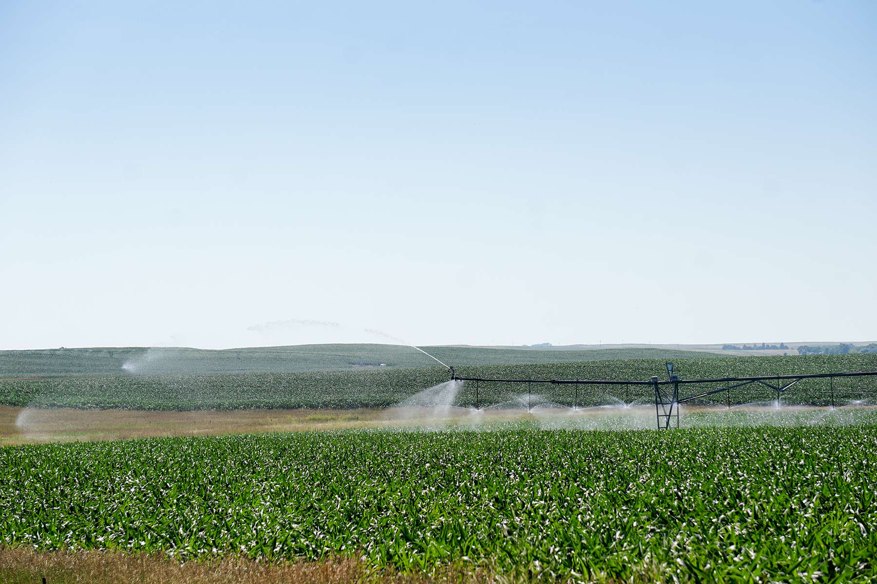 Todd County Irrigated Organic Farm property picture 14 of 45