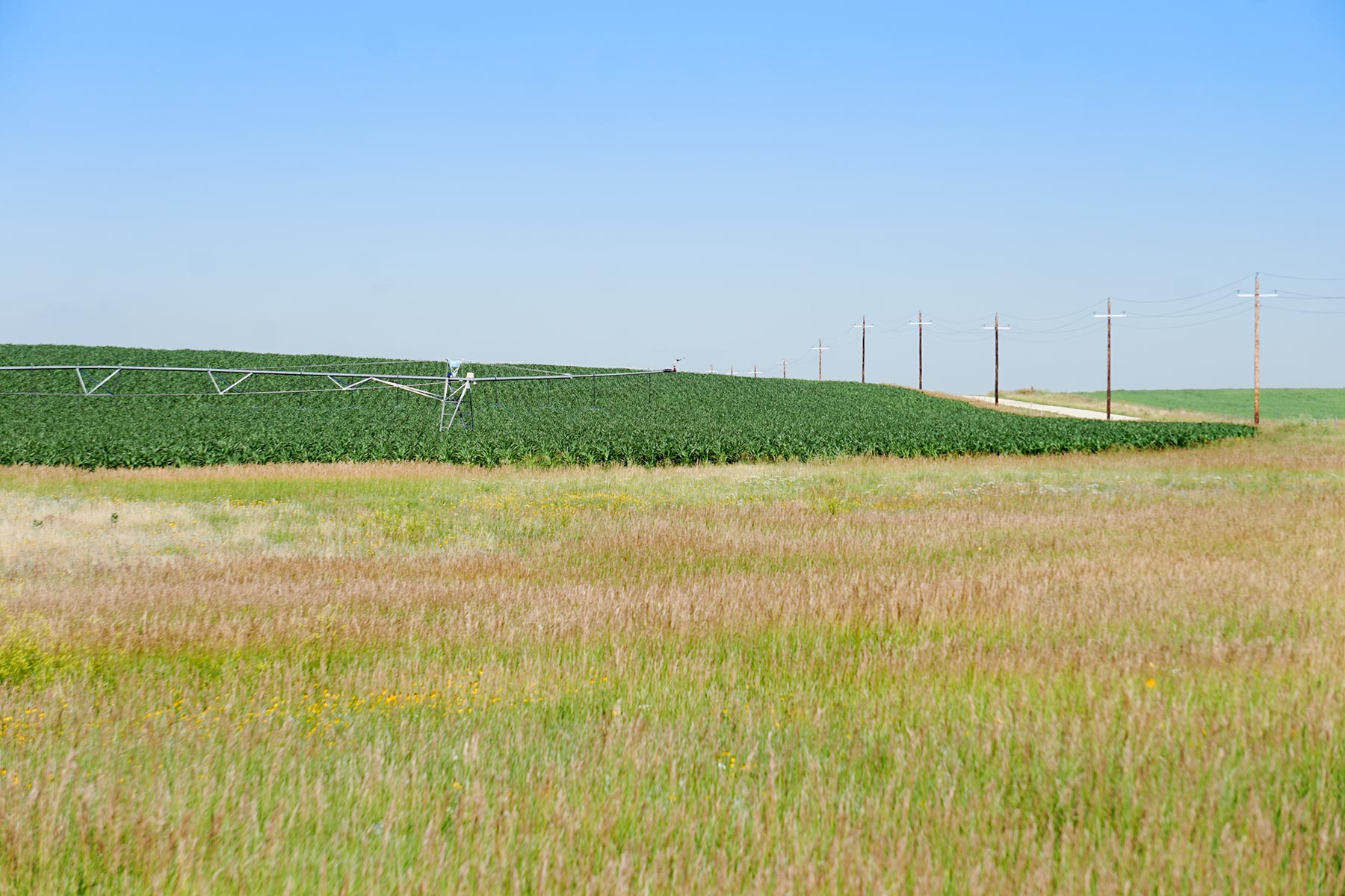 Todd County Irrigated Organic Farm property picture 44 of 45