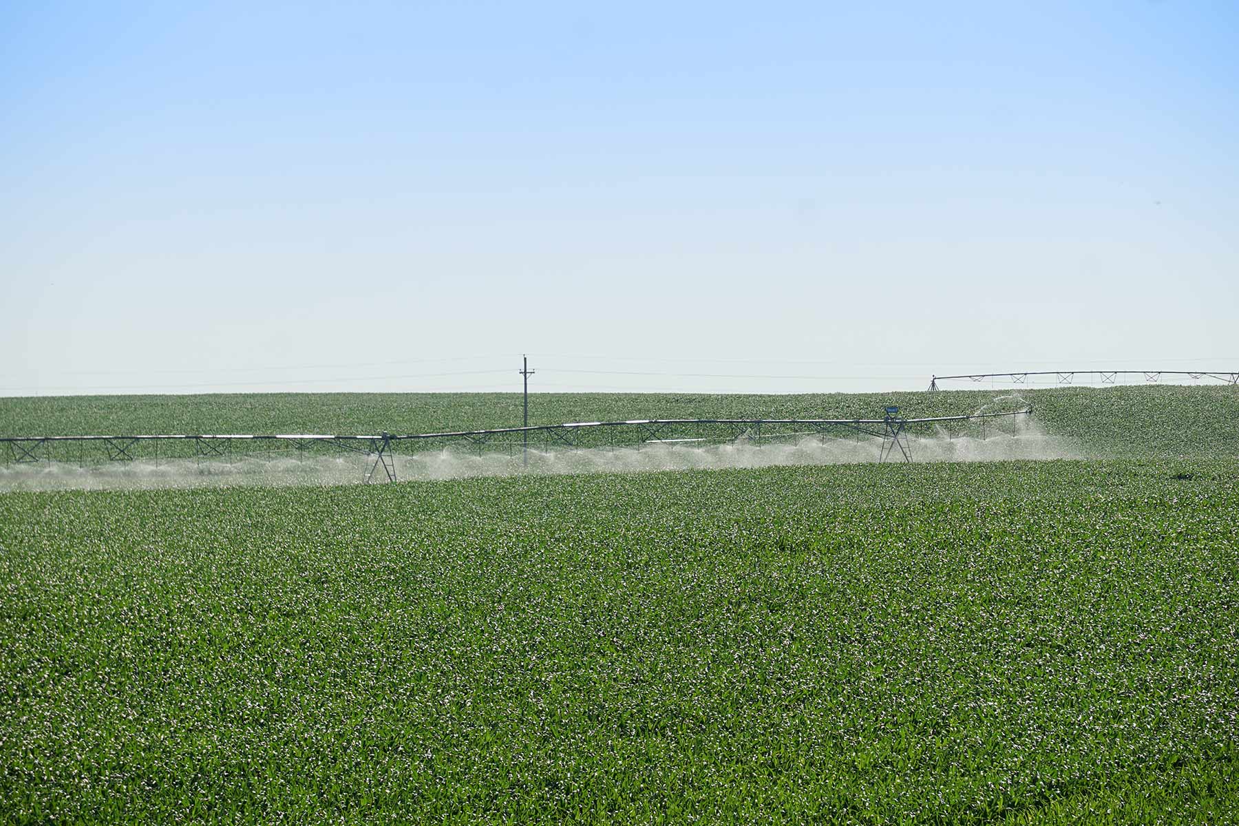 Todd County Irrigated Organic Farm property picture 33 of 45