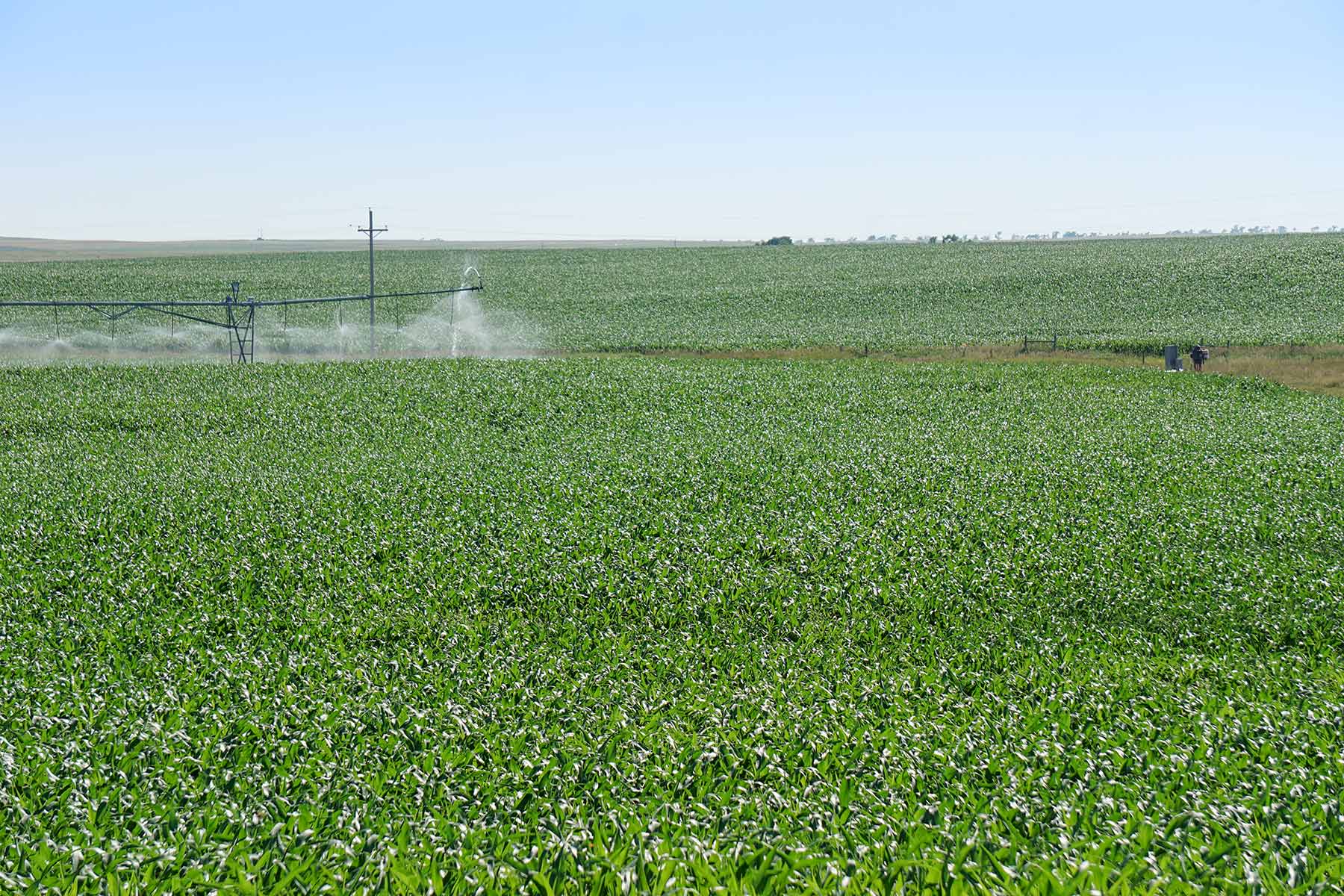 Todd County Irrigated Organic Farm property picture 35 of 45