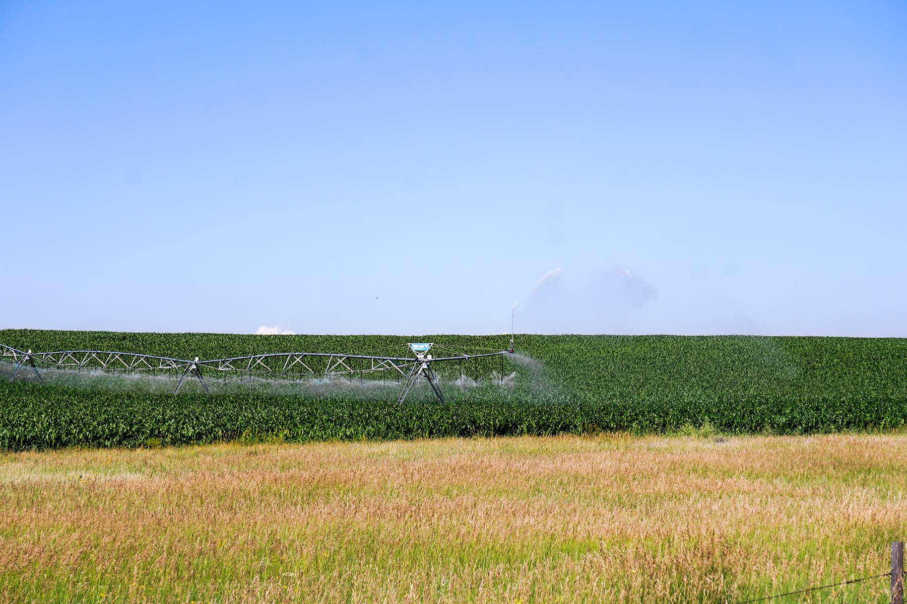 Todd County Irrigated Organic Farm property picture 11 of 45