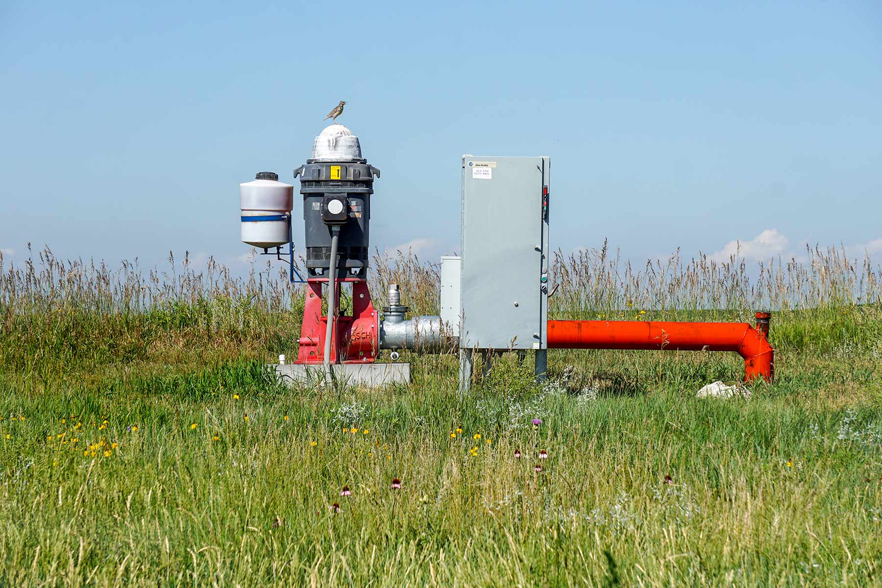 Todd County Irrigated Organic Farm property picture 16 of 45