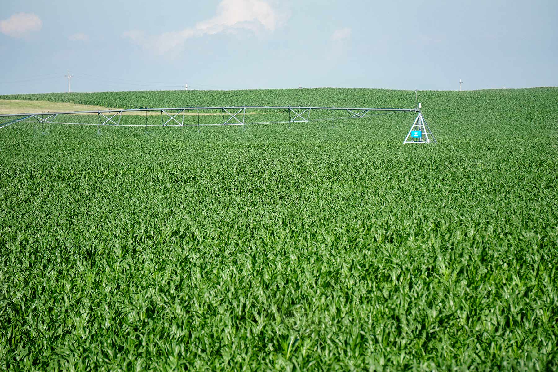 Todd County Irrigated Organic Farm property picture 17 of 45