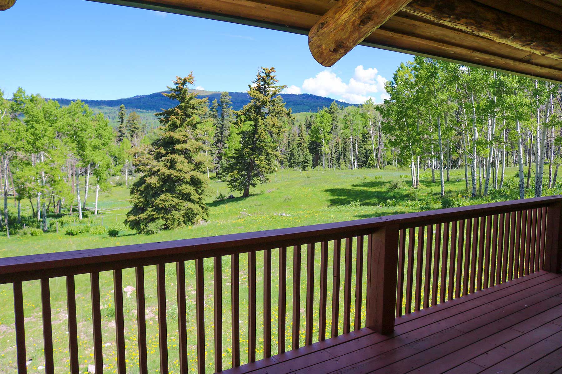 High Timber Ranch property picture 51 of 67