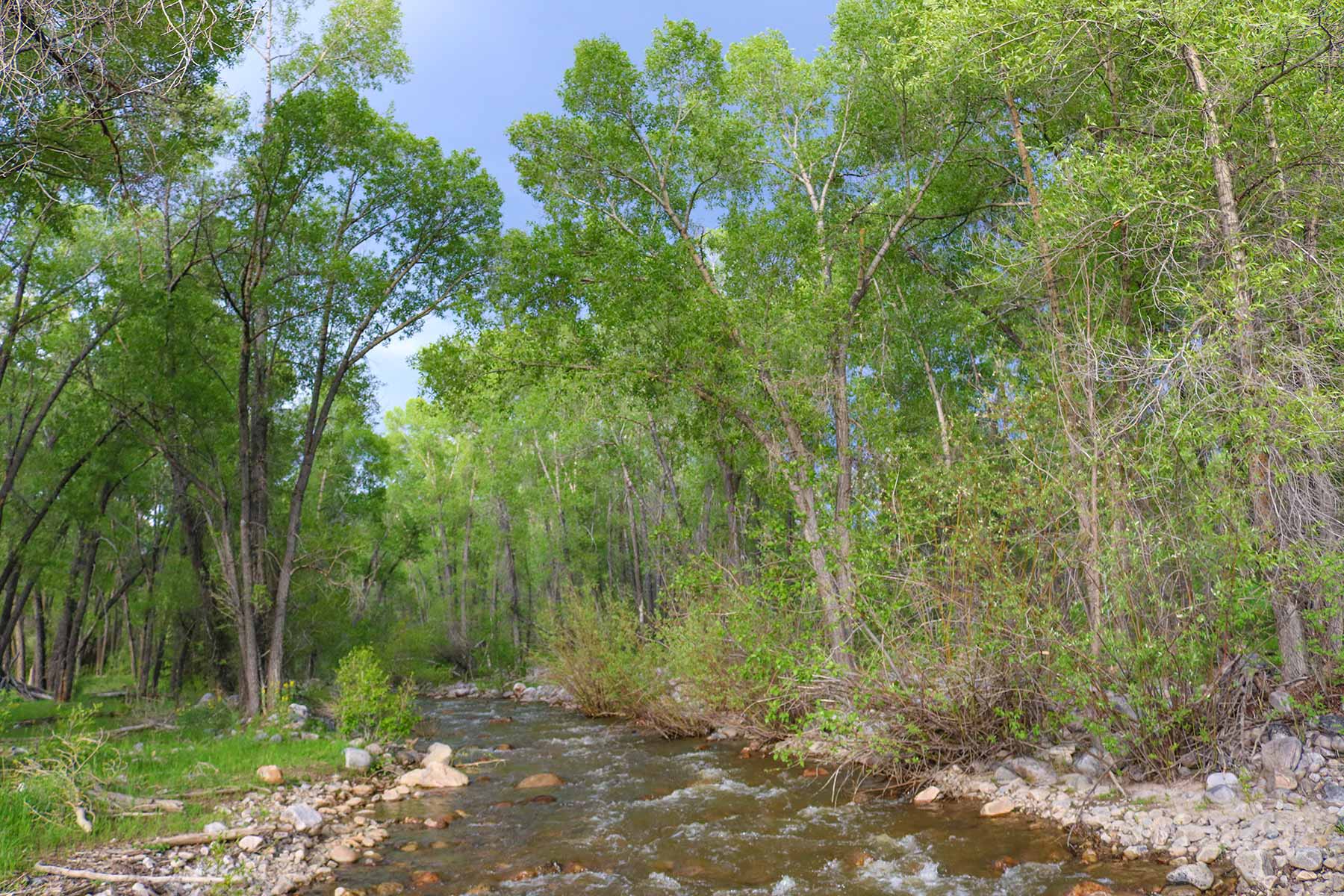 High Timber Ranch property picture 2 of 67