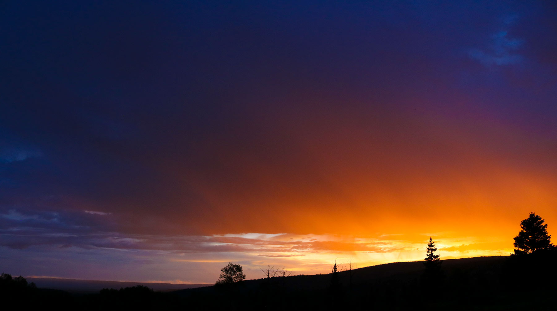 High Timber Ranch property picture 28 of 67