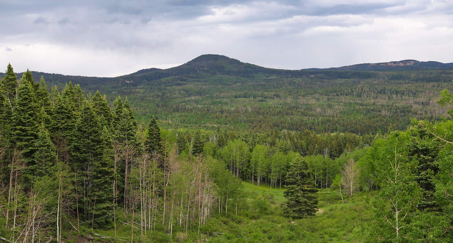 High Timber Ranch property picture 15 of 67