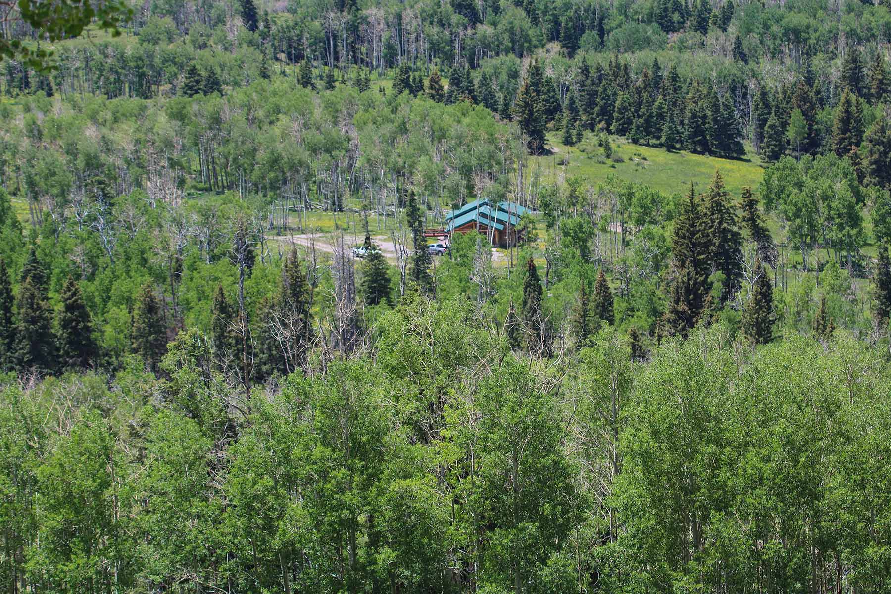 High Timber Ranch property picture 54 of 67