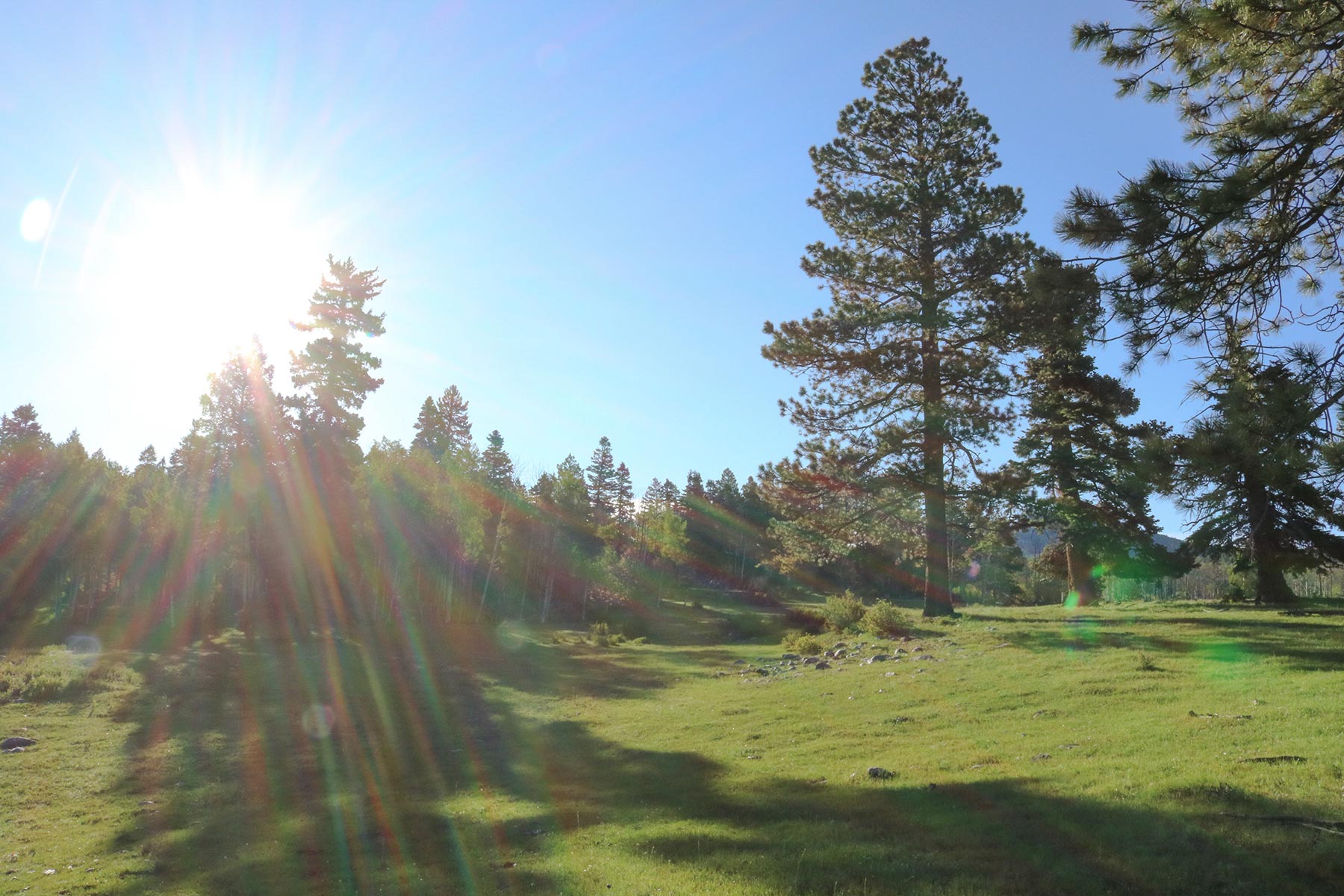 High Timber Ranch property picture 30 of 67