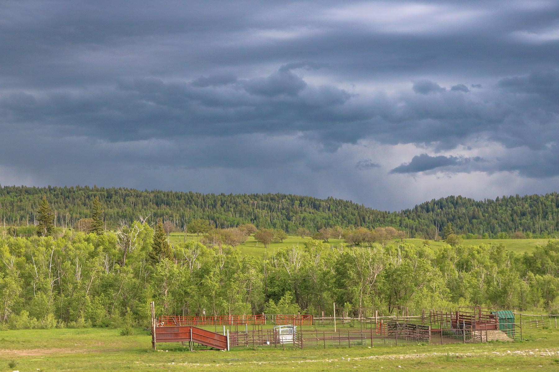 High Timber Ranch property picture 13 of 67