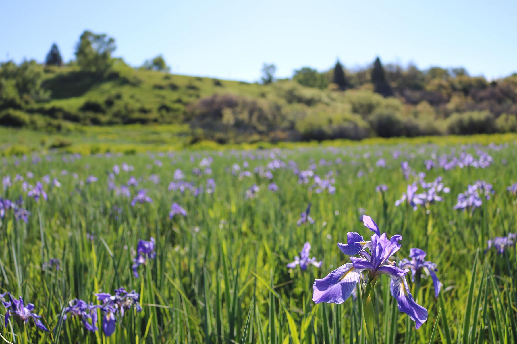 High Timber Ranch property picture 44 of 67