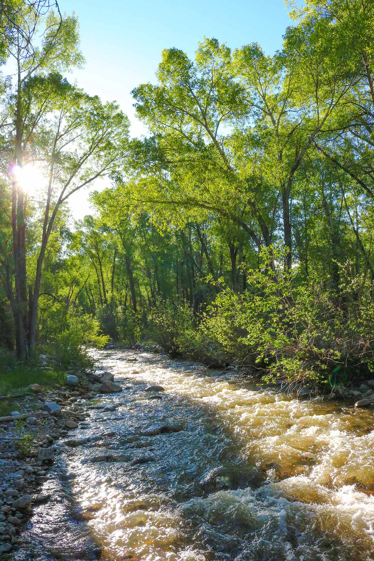 High Timber Ranch property picture 32 of 67