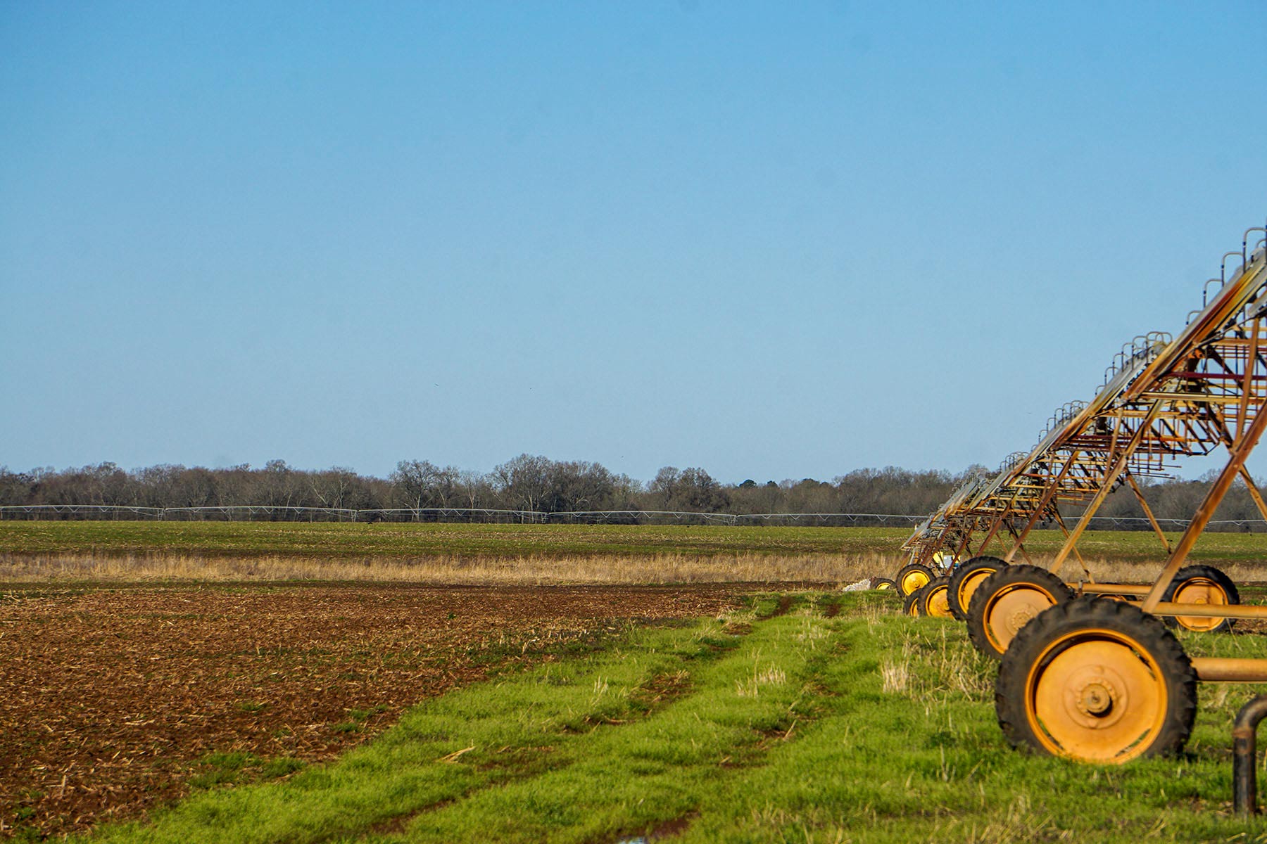 Three Circle Farms property picture 5 of 19