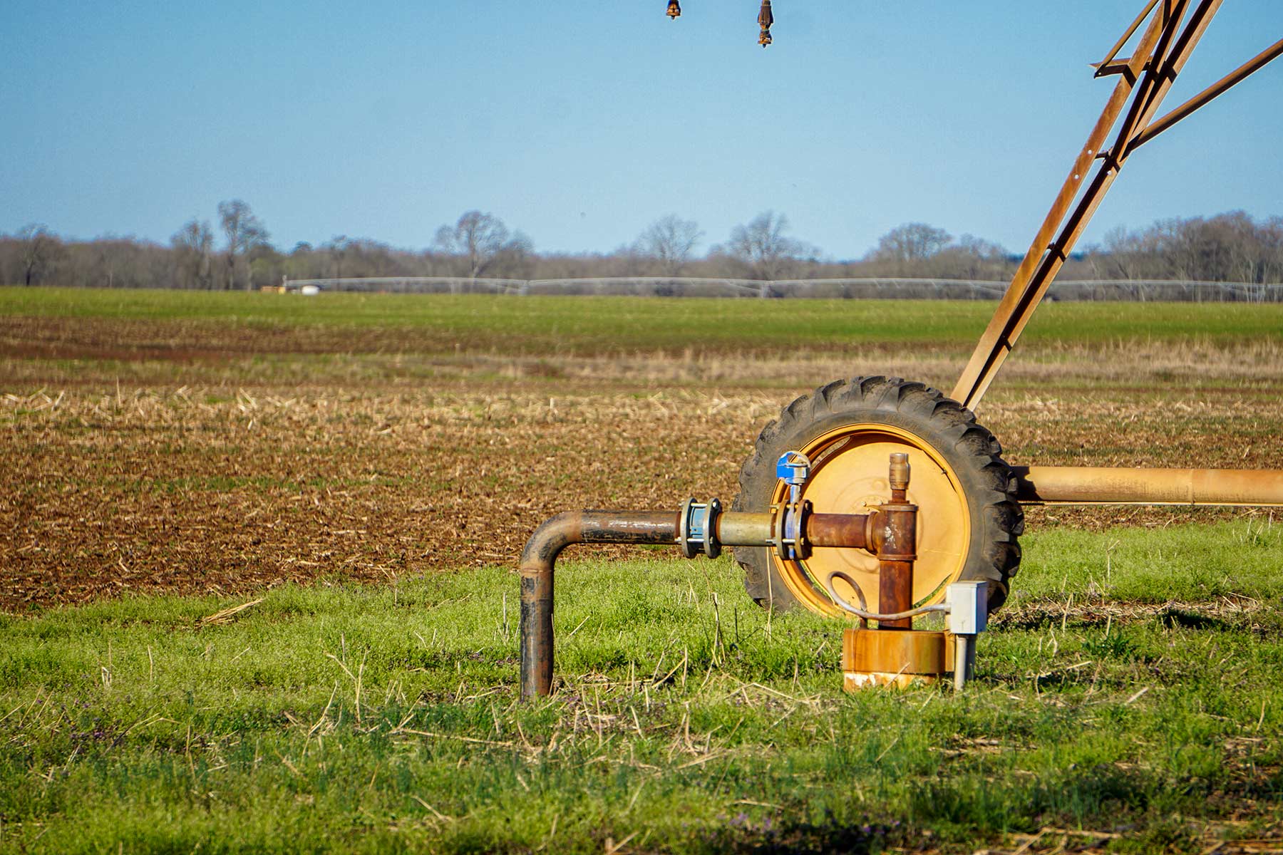Three Circle Farms property picture 16 of 19