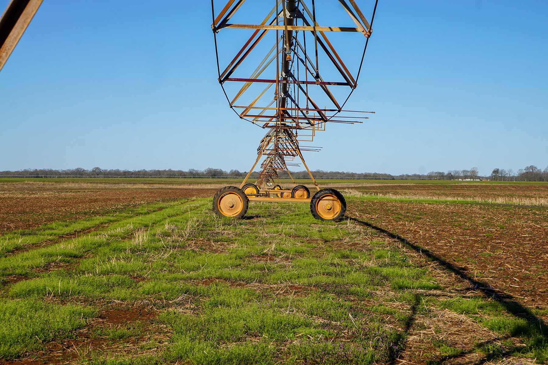 Three Circle Farms property picture 8 of 19