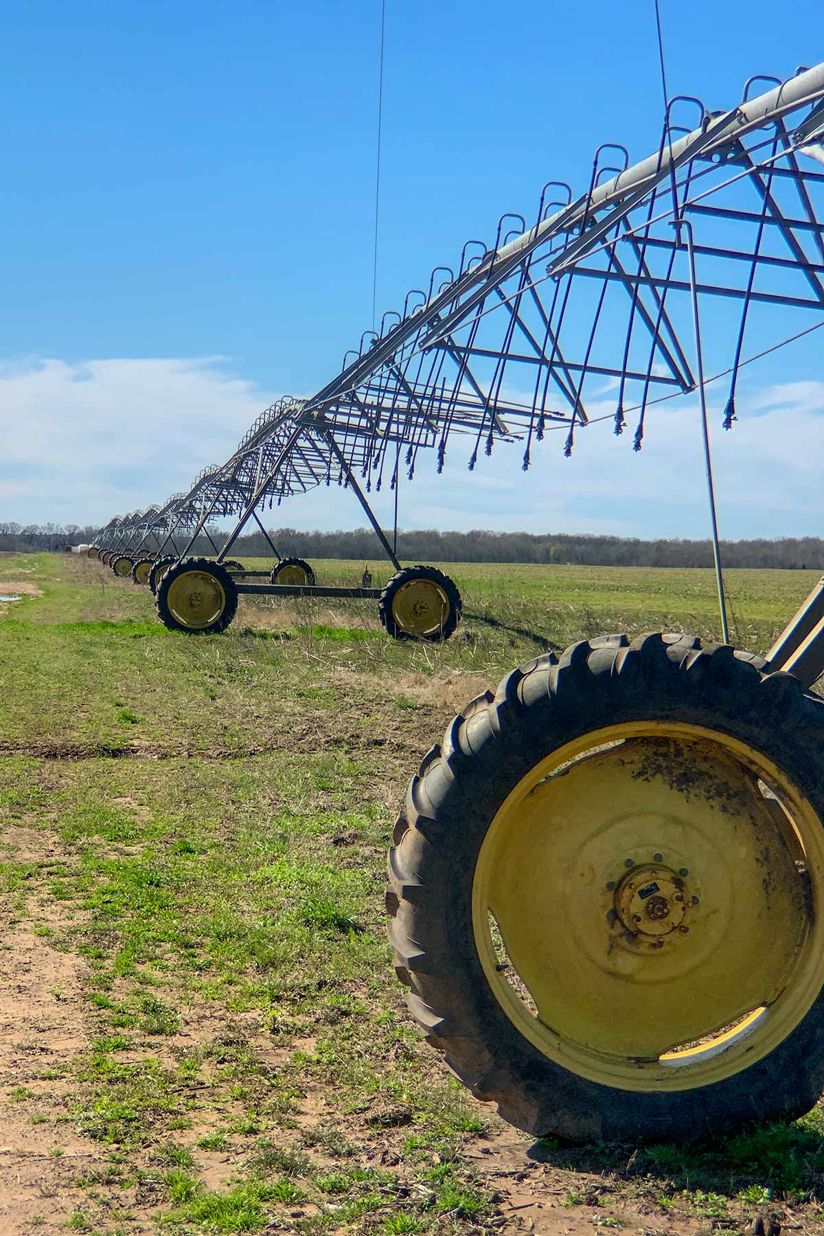 Three Circle Farms property picture 18 of 19