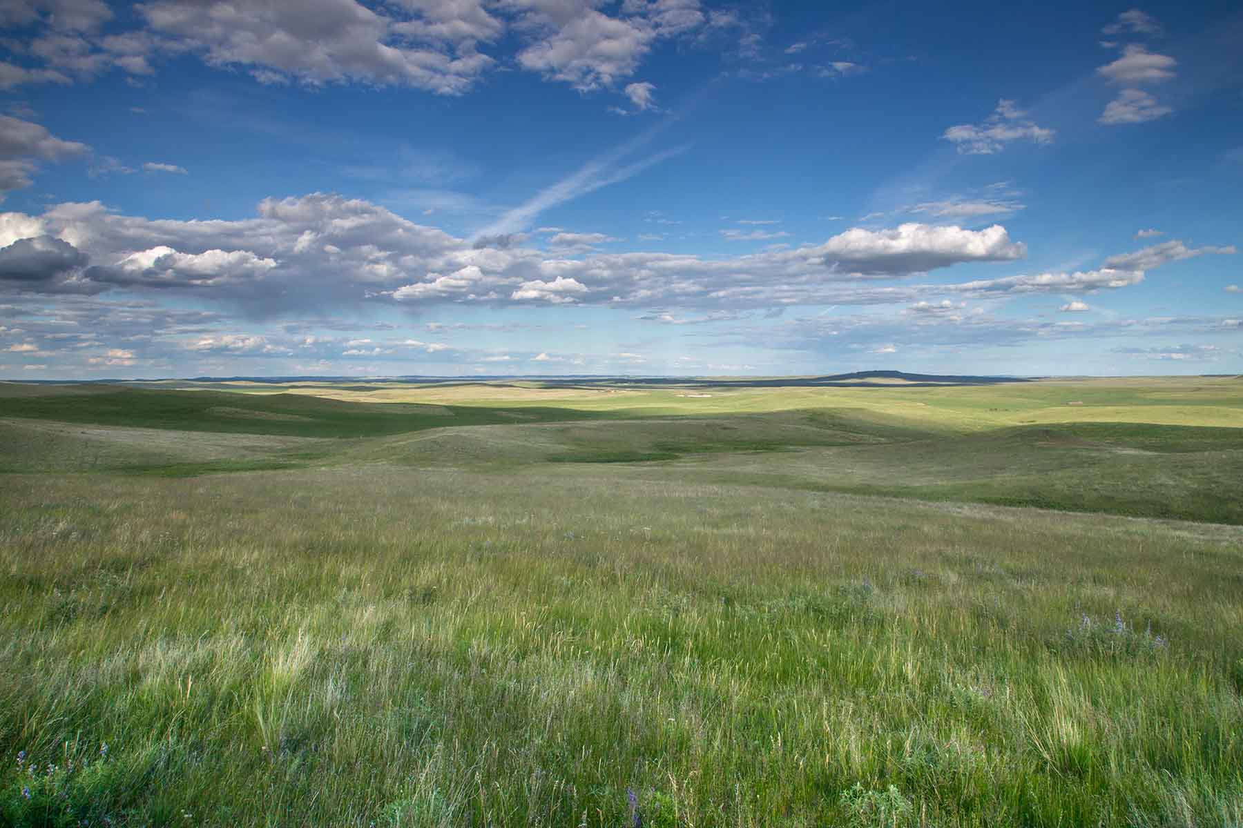 Judith Mountains Ranch property picture 11 of 52