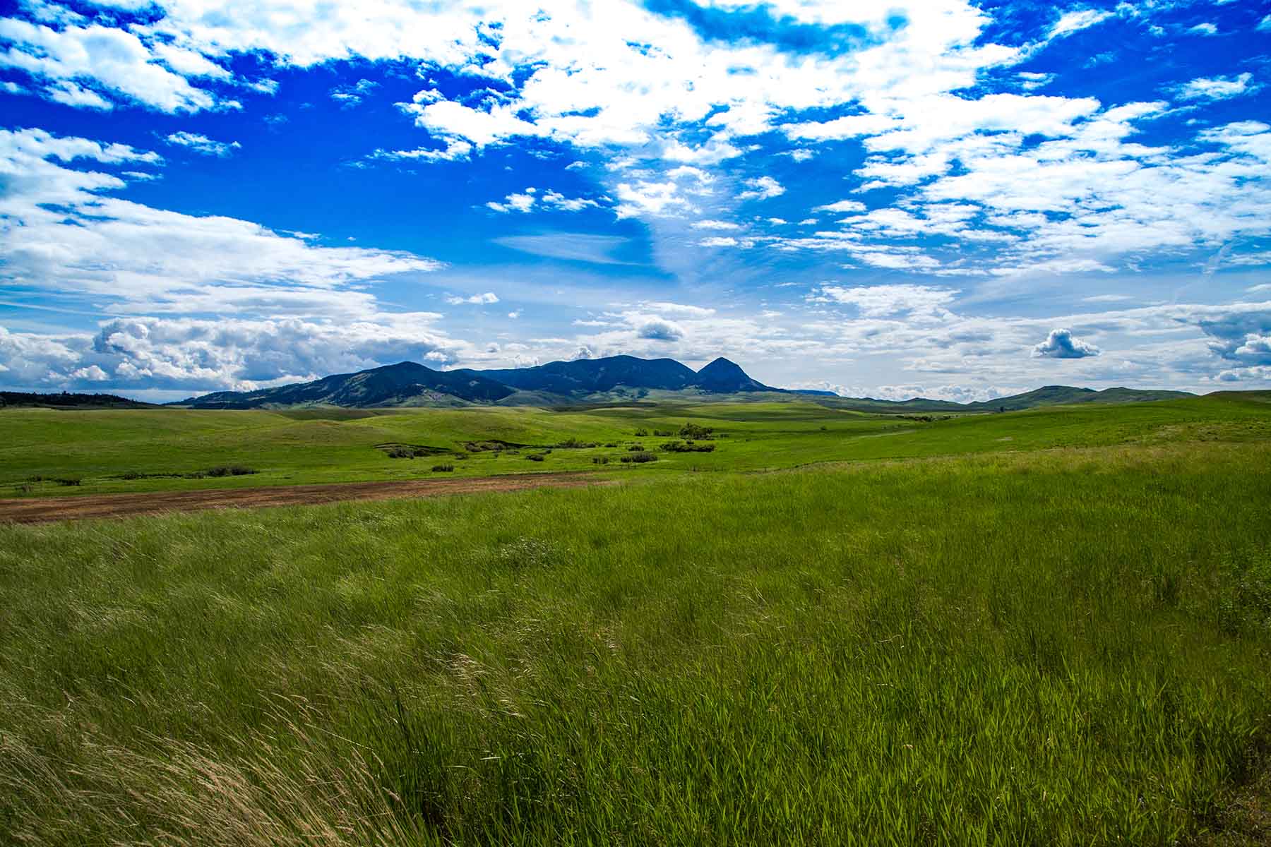 Judith Mountains Ranch property picture 3 of 52