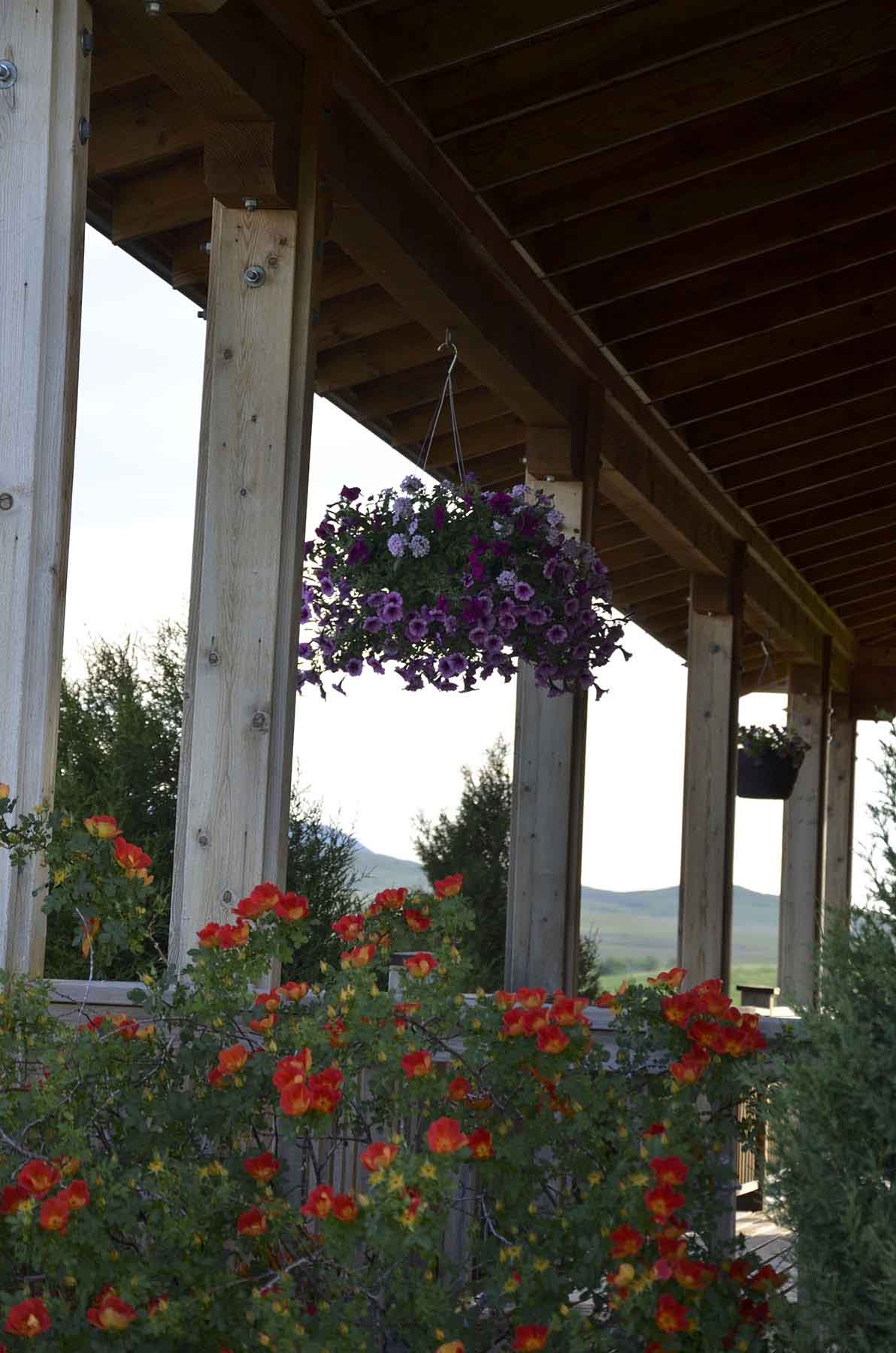 Judith Mountains Ranch property picture 50 of 52