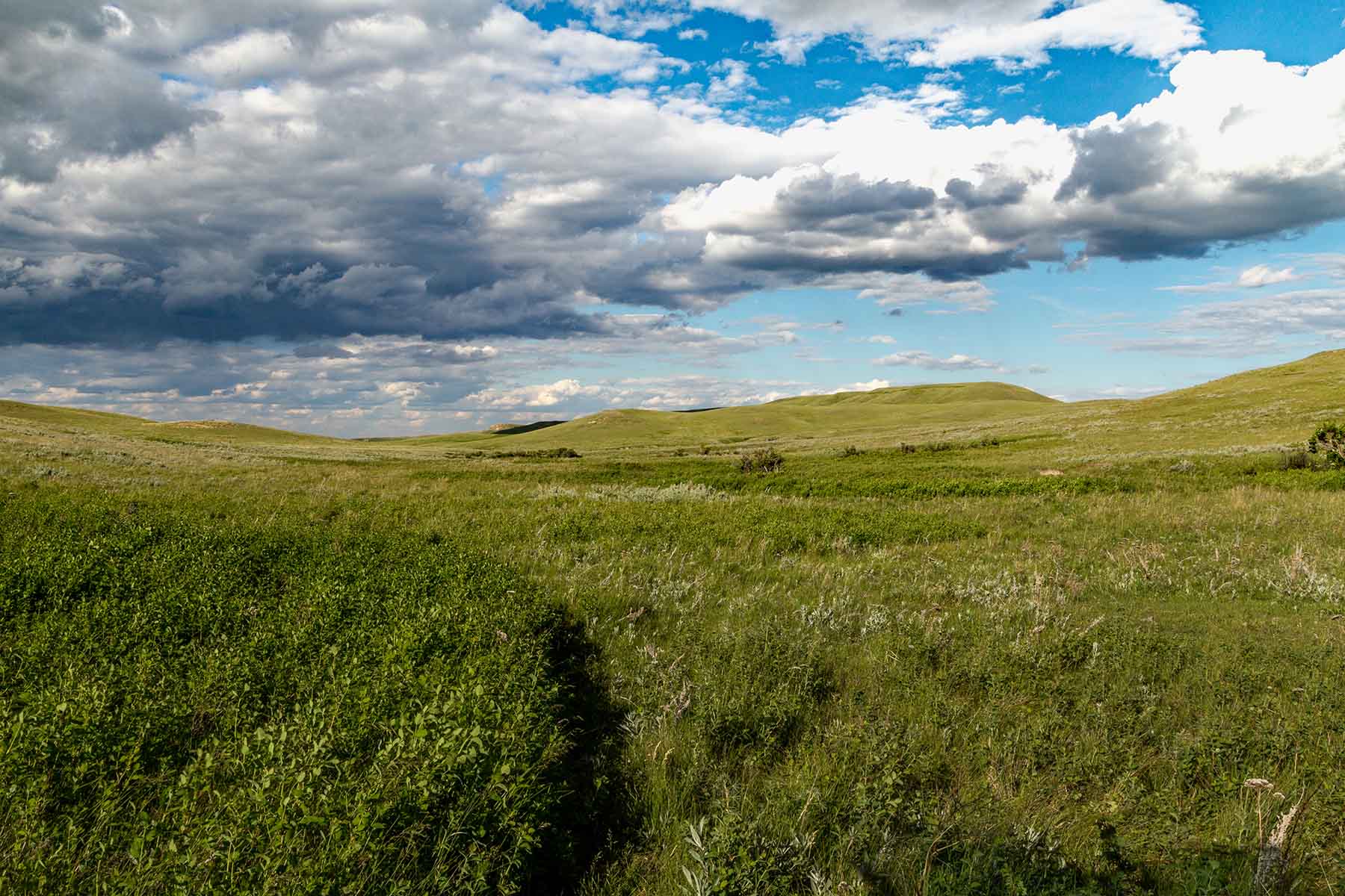 Judith Mountains Ranch property picture 42 of 52