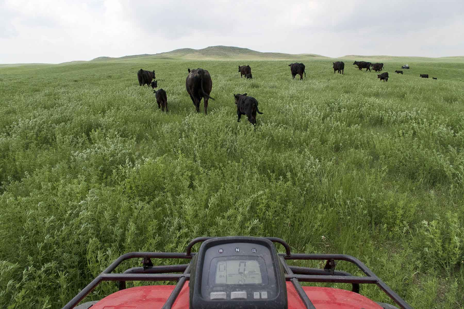 Judith Mountains Ranch property picture 48 of 52