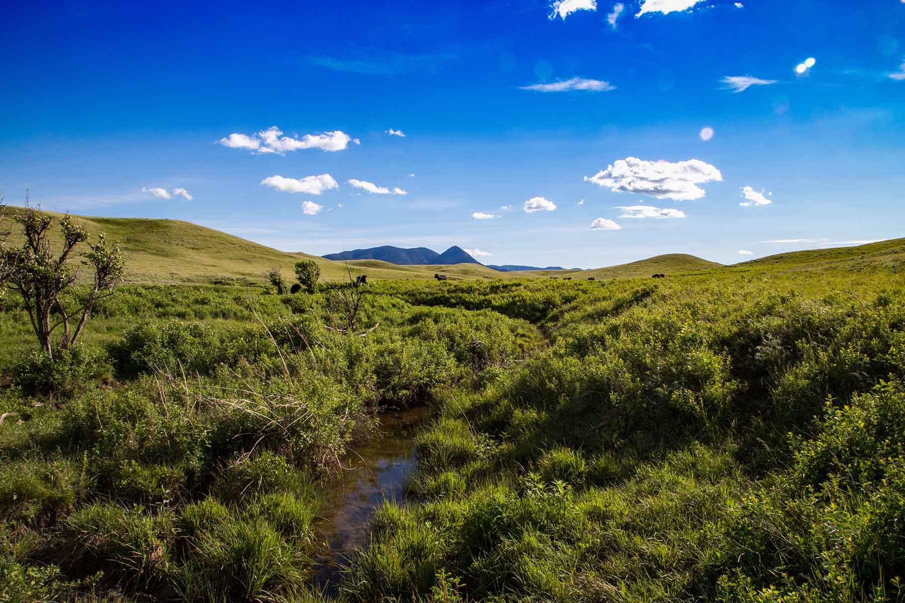 Judith Mountains Ranch property picture 9 of 52