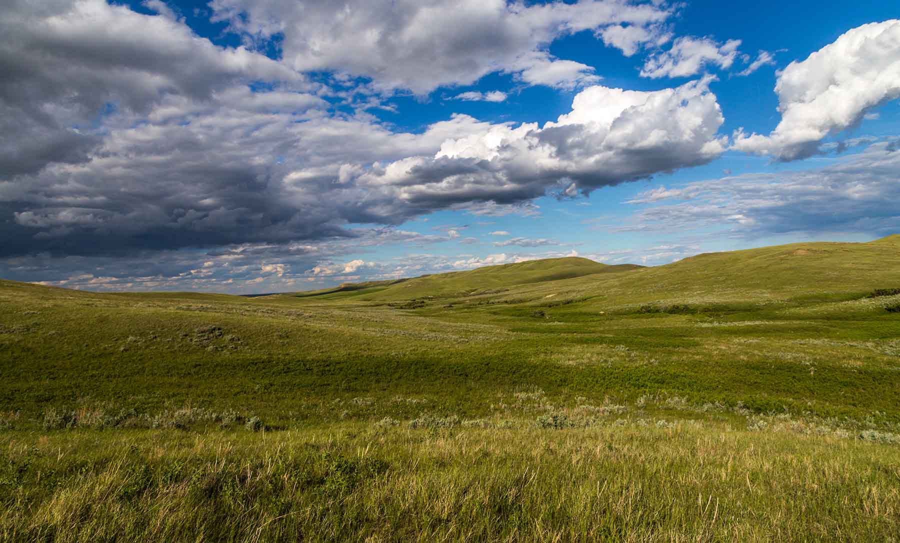 Judith Mountains Ranch property picture 40 of 52