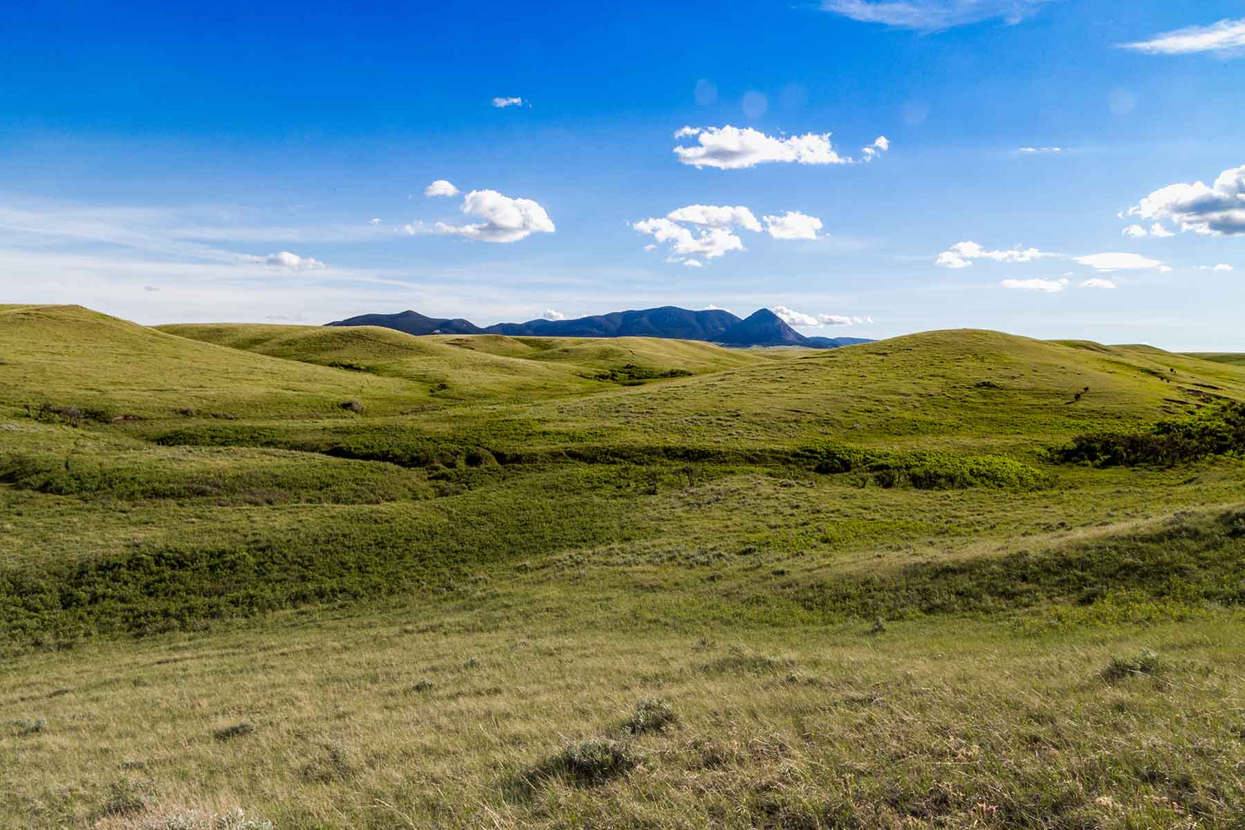 Judith Mountains Ranch property picture 41 of 52