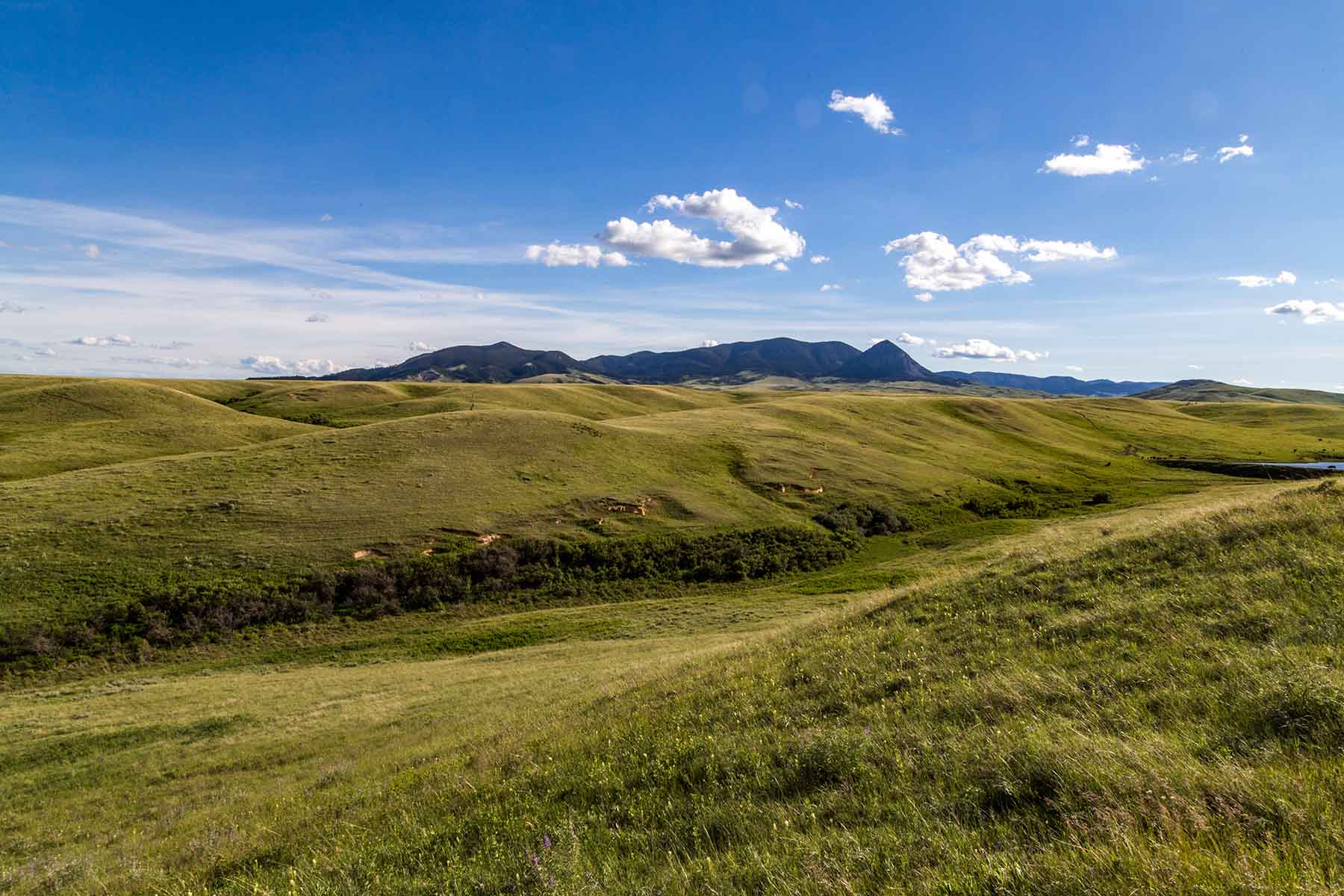 Judith Mountains Ranch property picture 4 of 52