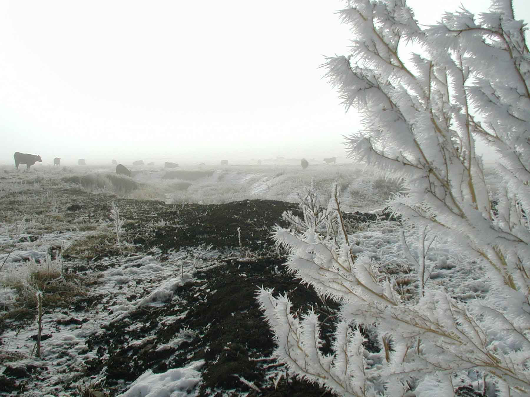 Judith Mountains Ranch property picture 49 of 52