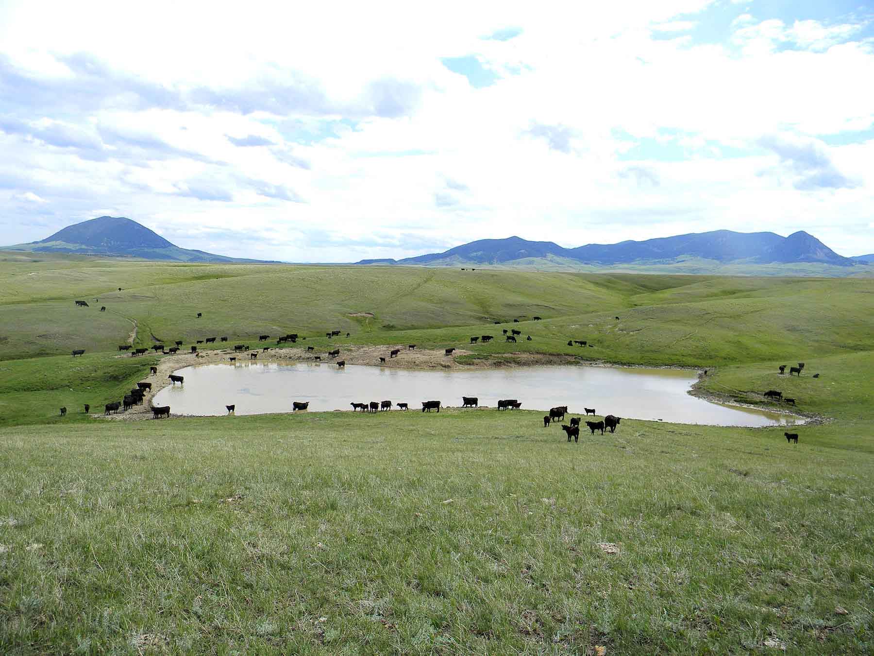 Judith Mountains Ranch property picture 23 of 52